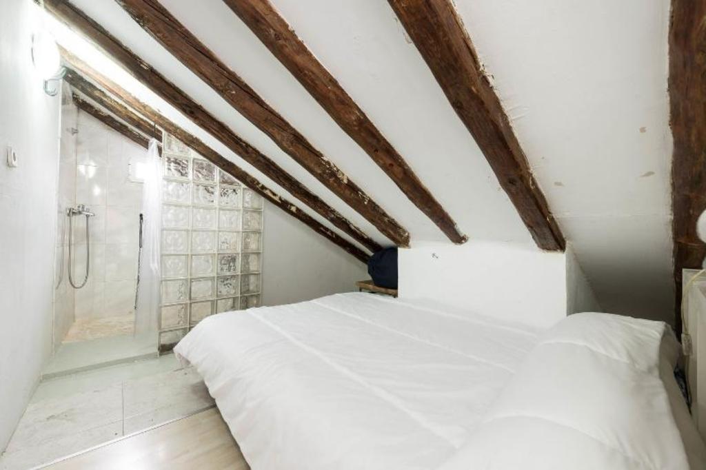 Atico Duplex Loft Lavapies Apartment Madrid Exterior photo